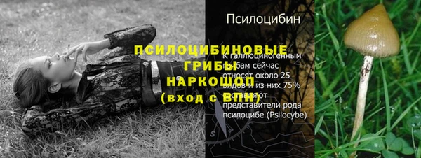 МДПВ Волосово